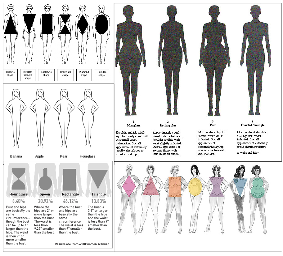 body shapes