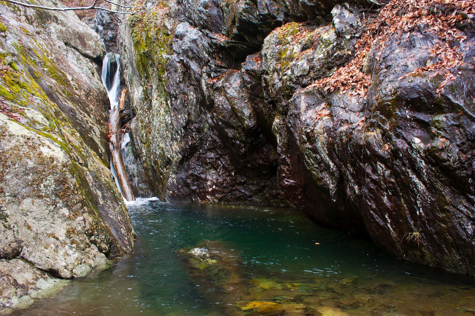 Hiking Shenandoah Cedar RunHawksbill
