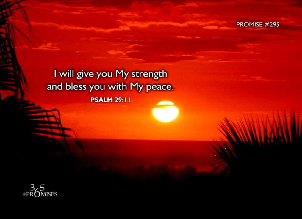 Free Wallpaper No Download Required HD Free Wallpapers Free Wallpaper No Download Required HD Free Wallpapers