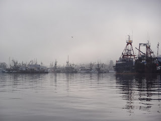 Stubbly masts in the mist