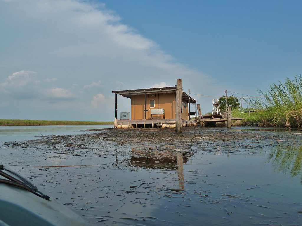 Kayaking the MobileTensaw River Delta 09/18/2010 Whiskey Ditch