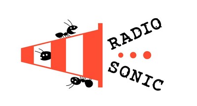 Radio Sonic