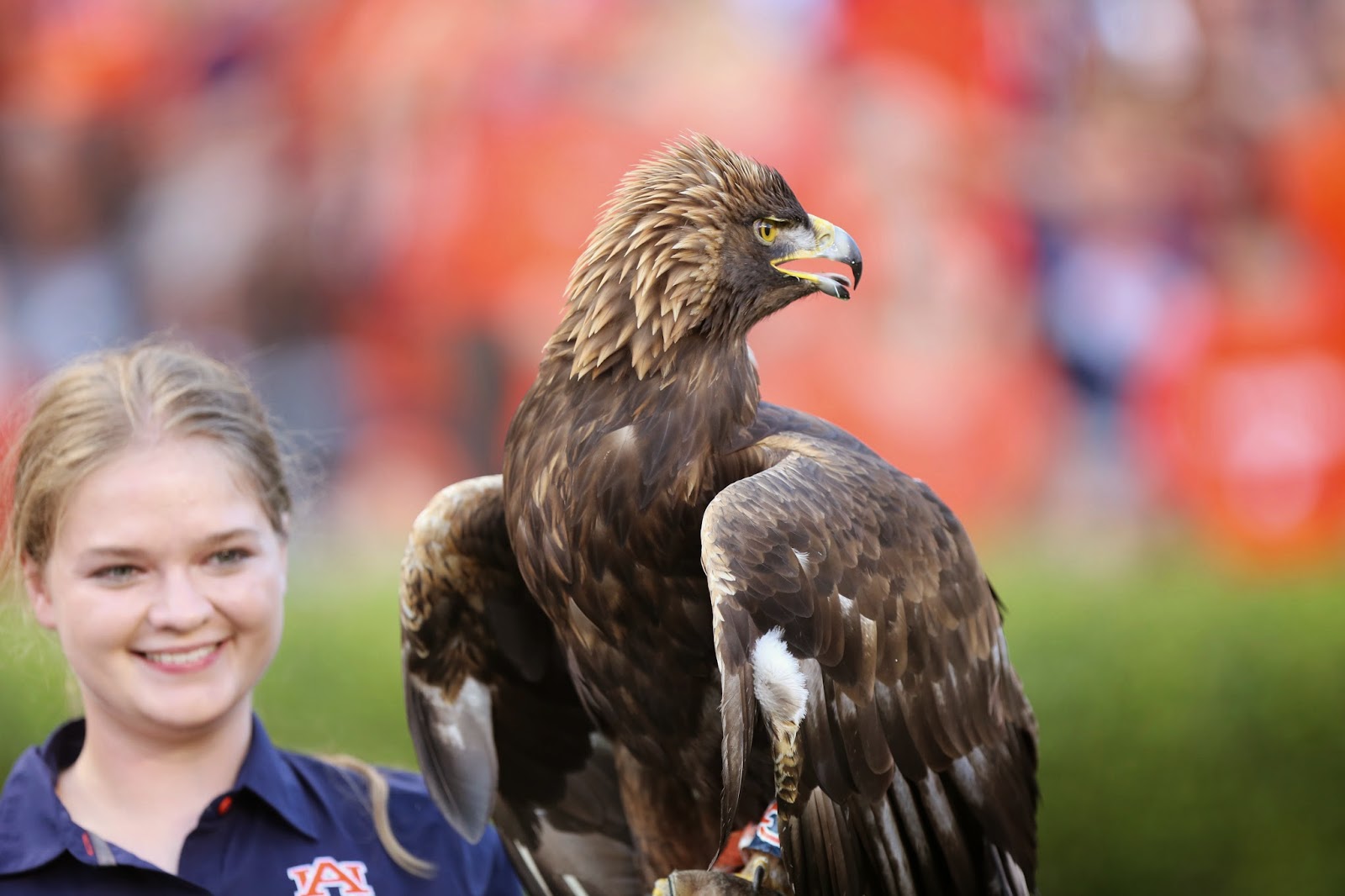 AuburnOpelika Camp War Eagle 101