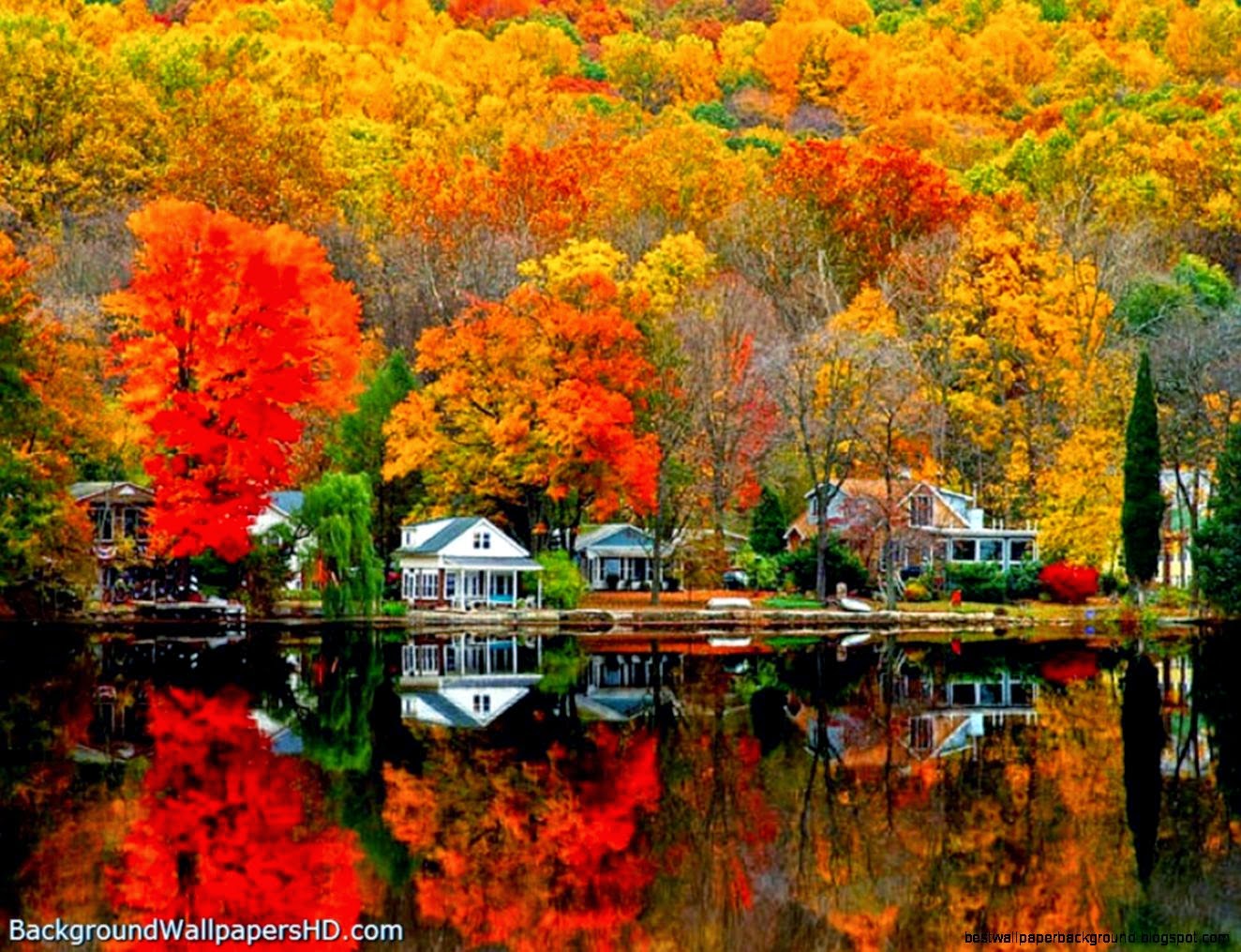autumn scenes screensavers wallpaper best wallpaper background
