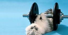 Eat Yummy, Forget Tummy. 