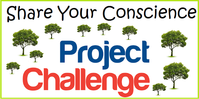 The Challenges of making the project The Challenges of making the project