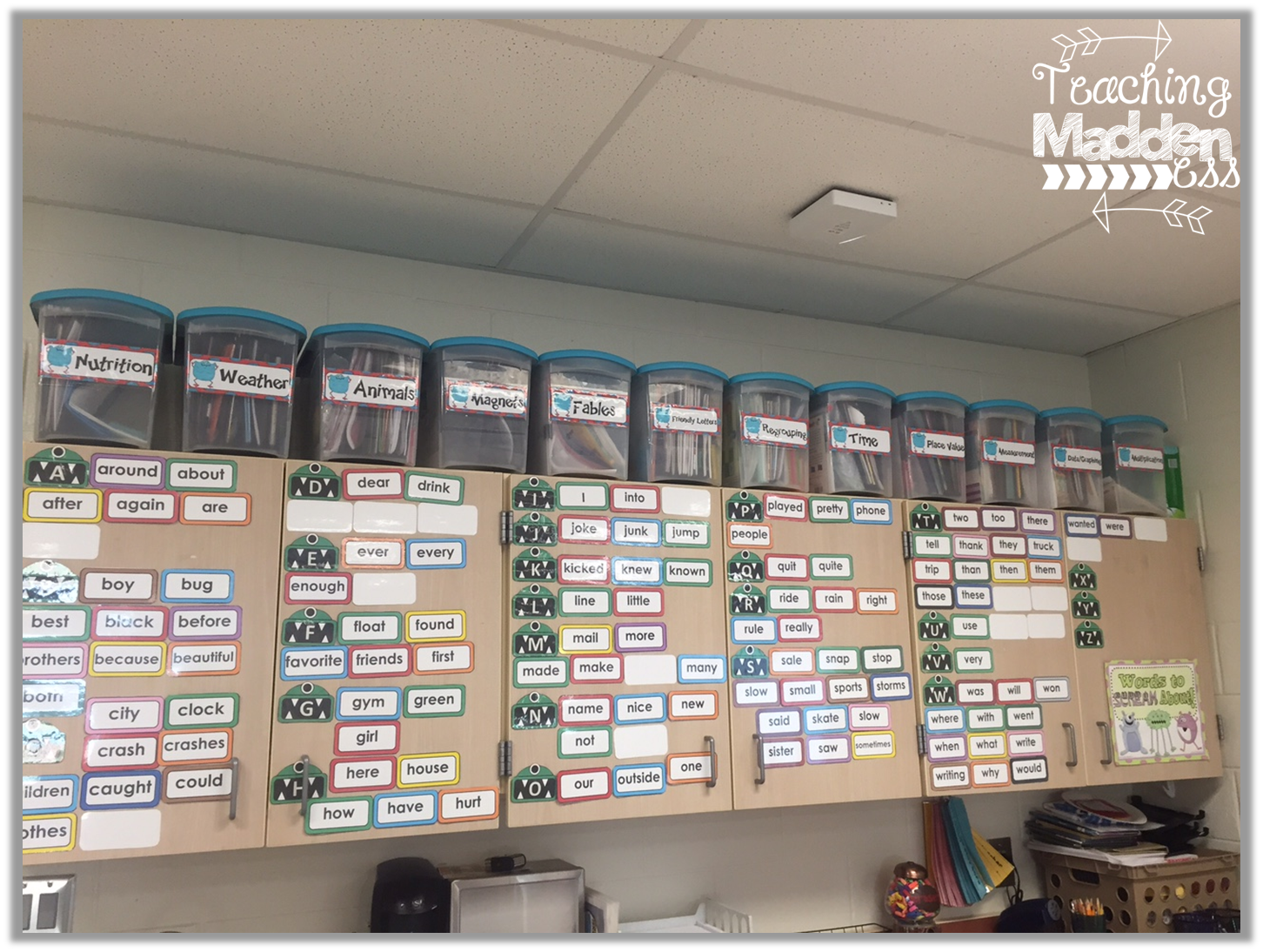 Lesson Plan Series Units} *Teaching Maddeness*