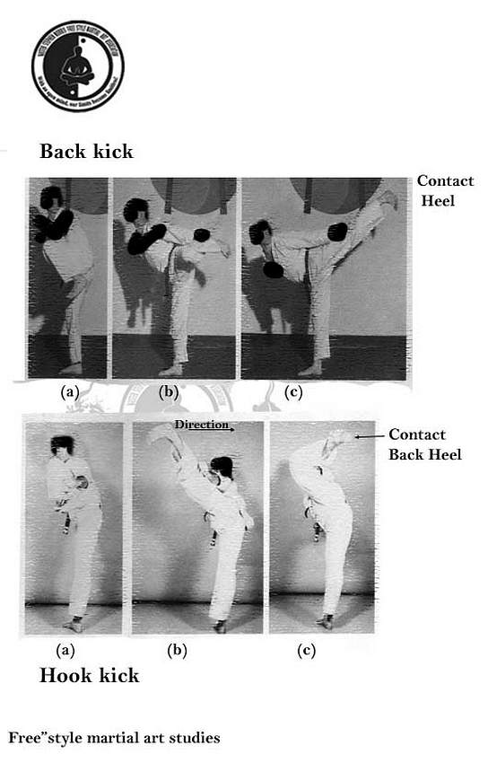 Best Of martial arts kick types Free" style martial art diffrent types of kicks