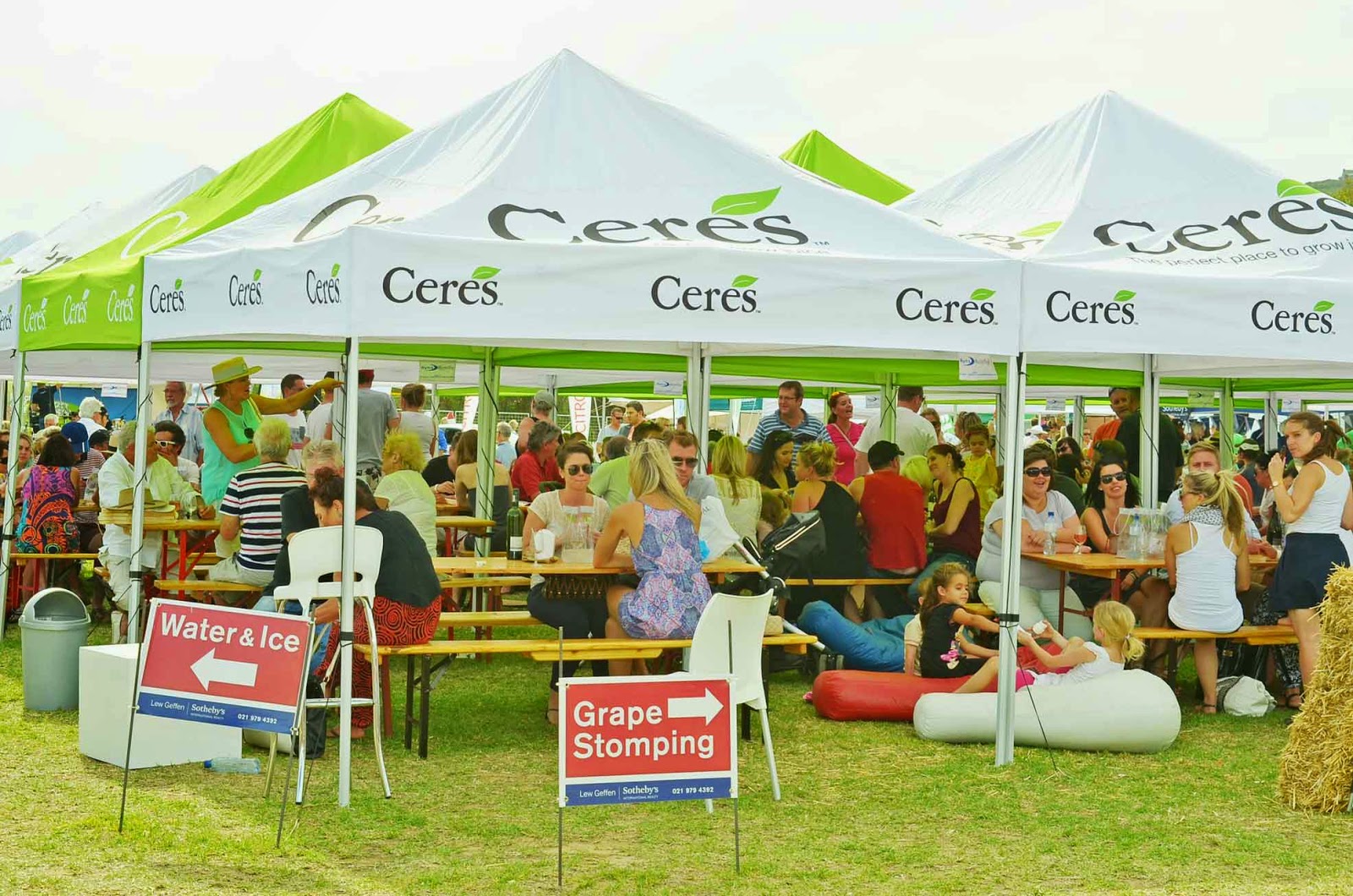 . Durbanville Feast of the Grape