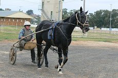 Parkes Showground