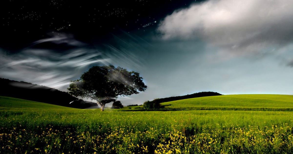 Images Hd Wallpaper | Free Best Hd Wallpapers