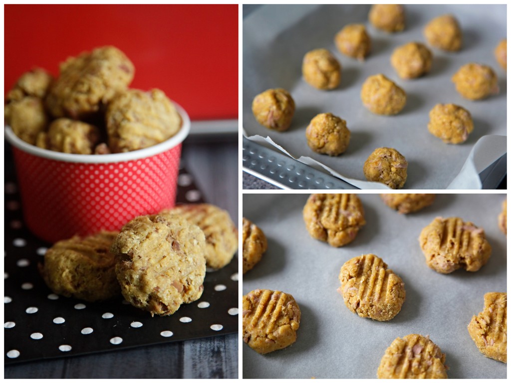 Dalmatian DIY {RECIPE} Tuna Shortbread Doggy Treats