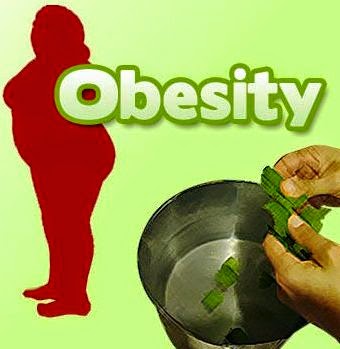  Obesity - Weight Gaining Homeopathy Specialty Treatment Clinic, Velachery, Chennai, Tamil nadu, - உடல் பருமனை குறைக்க சிறப்பு ஓமியோபதி சிகிச்சை மையம், வேளச்சேரி, சென்னை, தமிழ் நாடு,