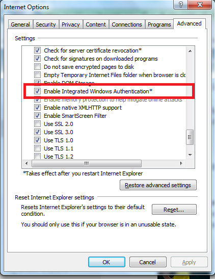 Internet Explorer Options Programs