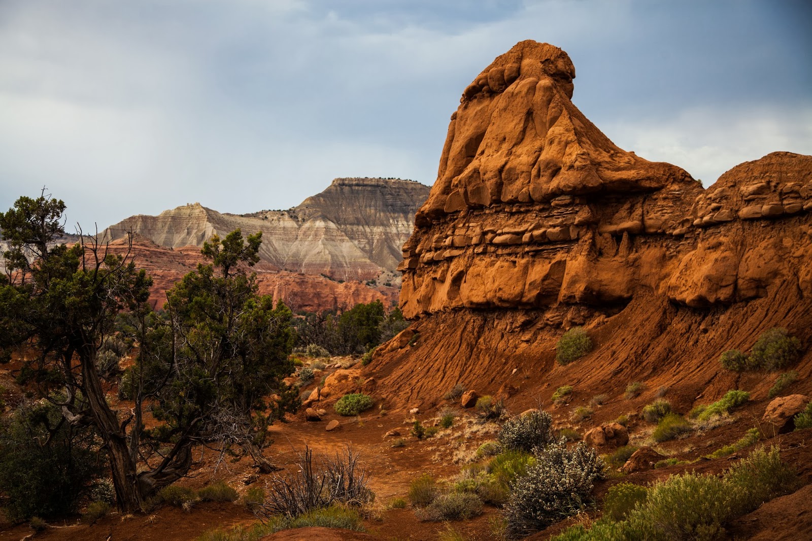 entrada sandstone walking arizona entrada sandstone entrada sandstone walking arizona entrada sandstone
