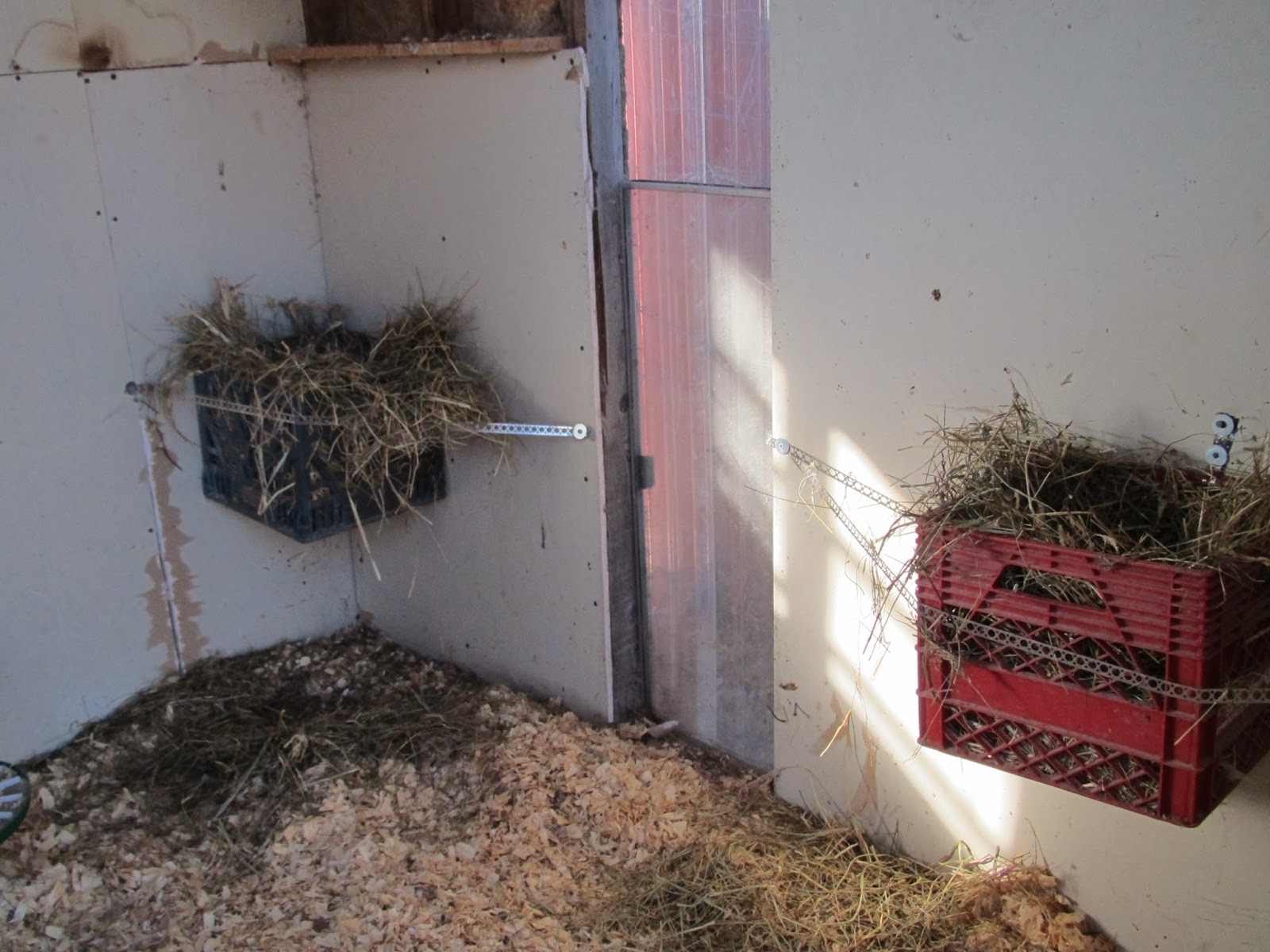 JUST ME cleaning the hen house