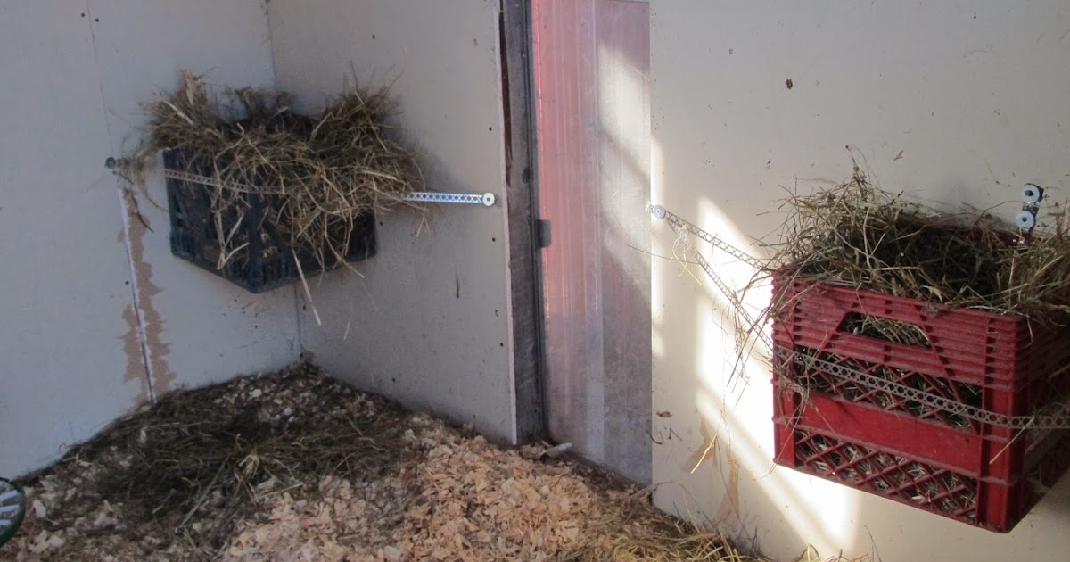 JUST ME cleaning the hen house