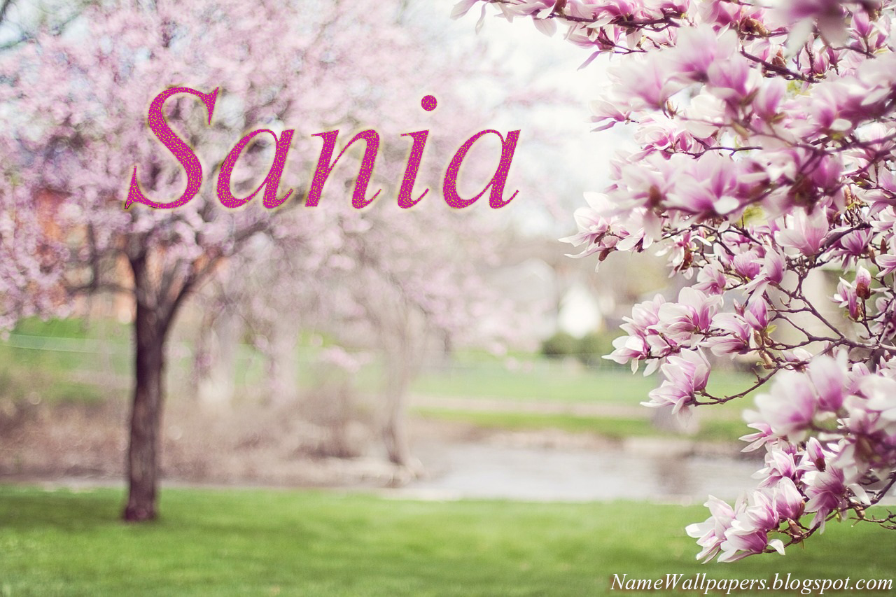 Sania Name Wallpapers Sania ~ Name Wallpaper Urdu Name Meaning Name Images  Logo Signature
