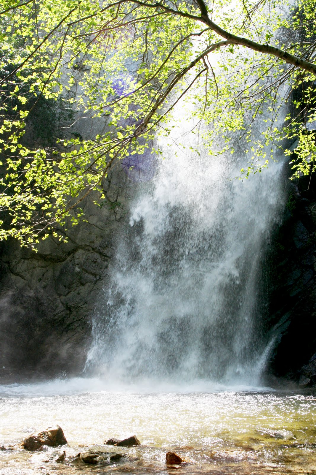 Lilly and the brothers Chantry Flats, & Sturtevant Fallsan Epic Hike