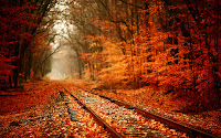 Autumn Pictures1