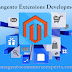 Use Magento Extension Development for creating eStore