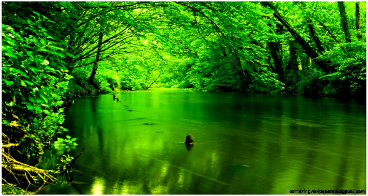 Green Nature Wallpaper Collection 43 Green Nature Wallpaper Collection 43