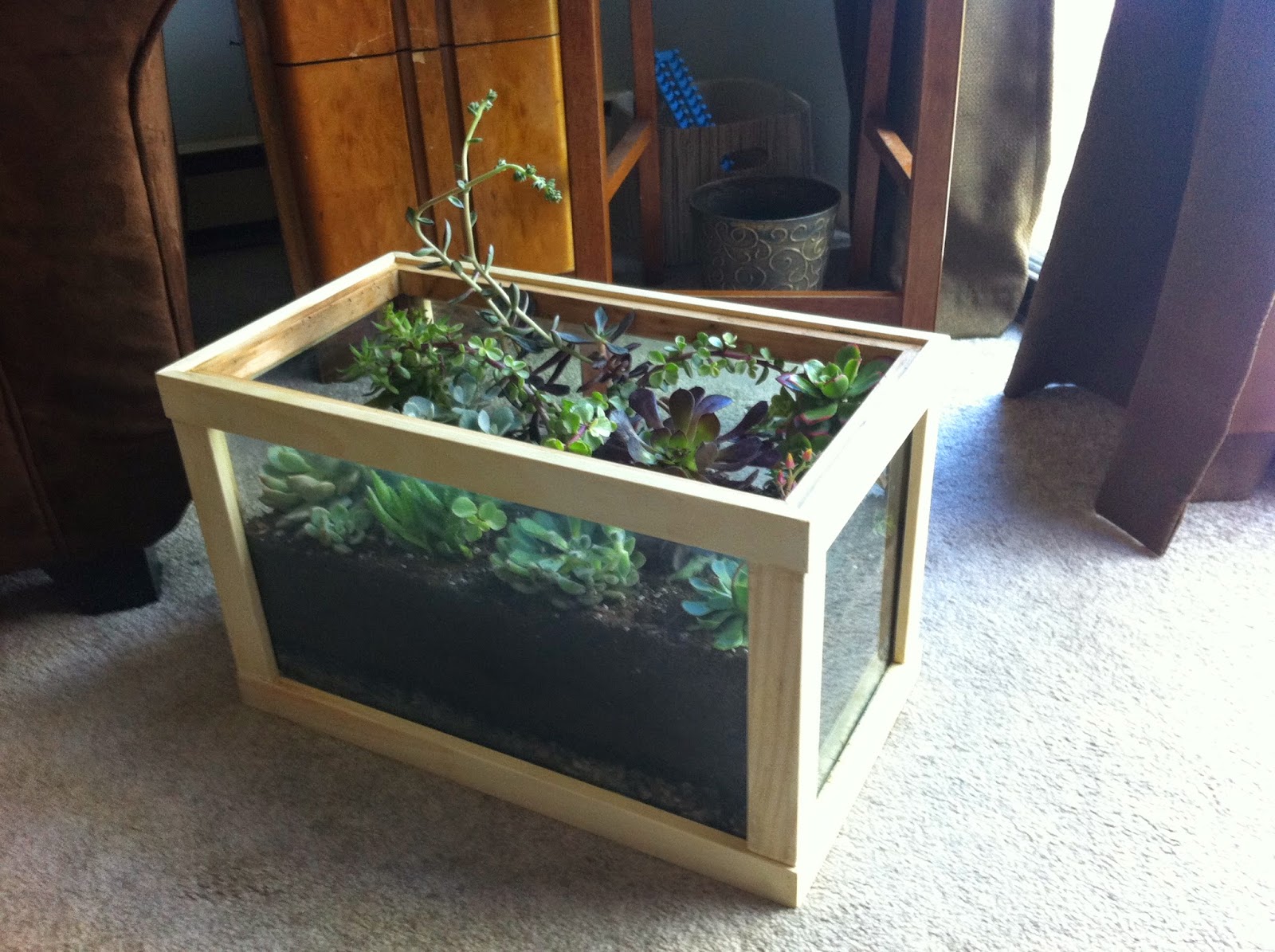 Leaning into Green From Aquarium to Terrarium