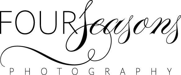 Four Seasons Photography