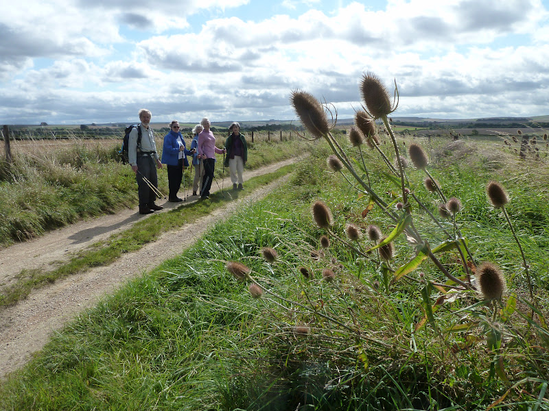 Devizes Days in Words and Pictures 2015: Walking in Avebury and Over