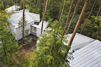 Daisen Unusual Natural House Design Wraps Around Trees Daisen Unusual Natural House Design Wraps Around Trees