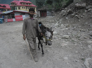 A Kashmiri with his pony.