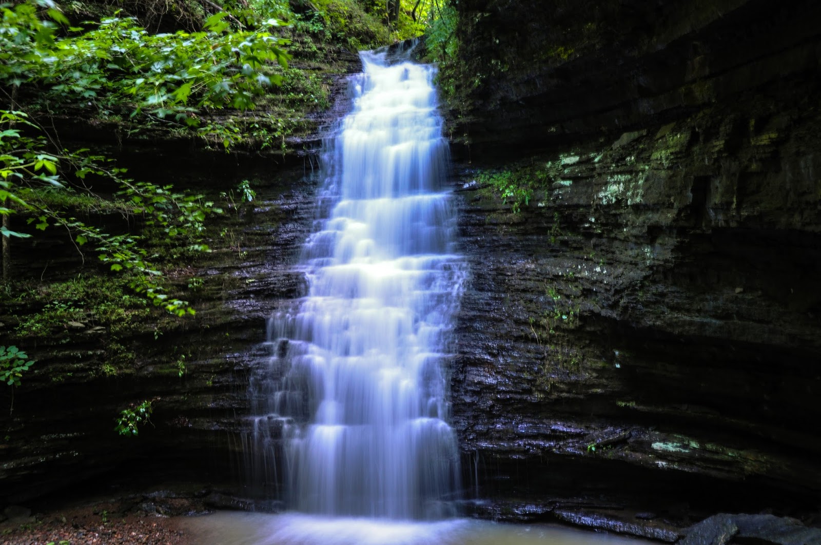 Arkansas Cove Creek: Where the Ozarks Meet Serenity