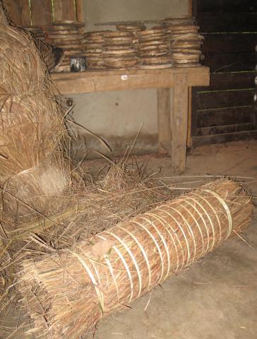 Tamba Senegal