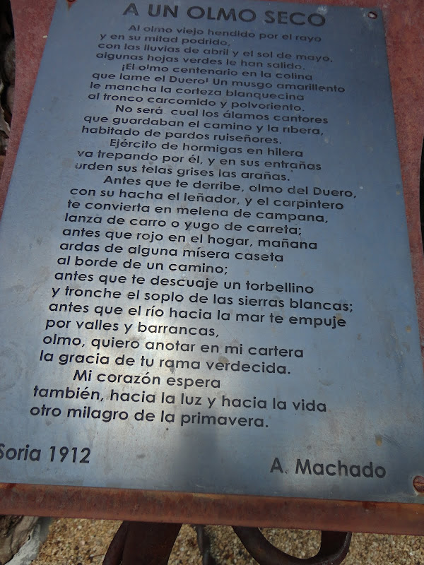 VERSOS AL OLMO DE ANTONIO MACHADO