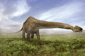 Diplodocus Diplodocus