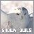 I like snowy owls