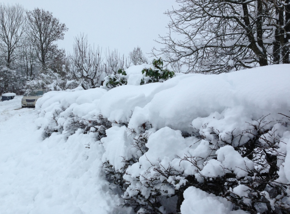 снежная катастрофа 
