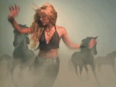 WHENEVER WHEREVER SHAKIRA whenever wherever shakira: