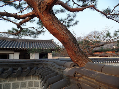 Drei Kiwis Im Kiwiland 2013