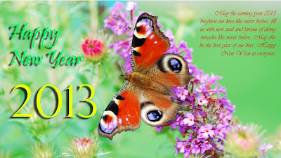 Free Most Beautiful Happy New Year 2013 Best Wishes Greeting Photo Cards 030