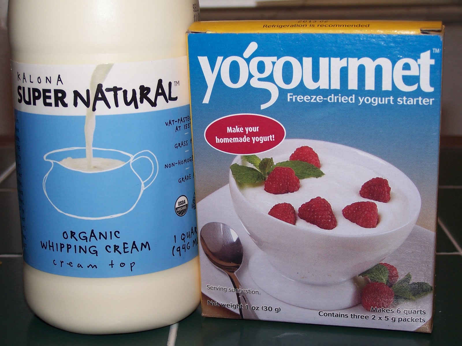 The Primal Junk Foodie French Yogurt Fat Bomb
