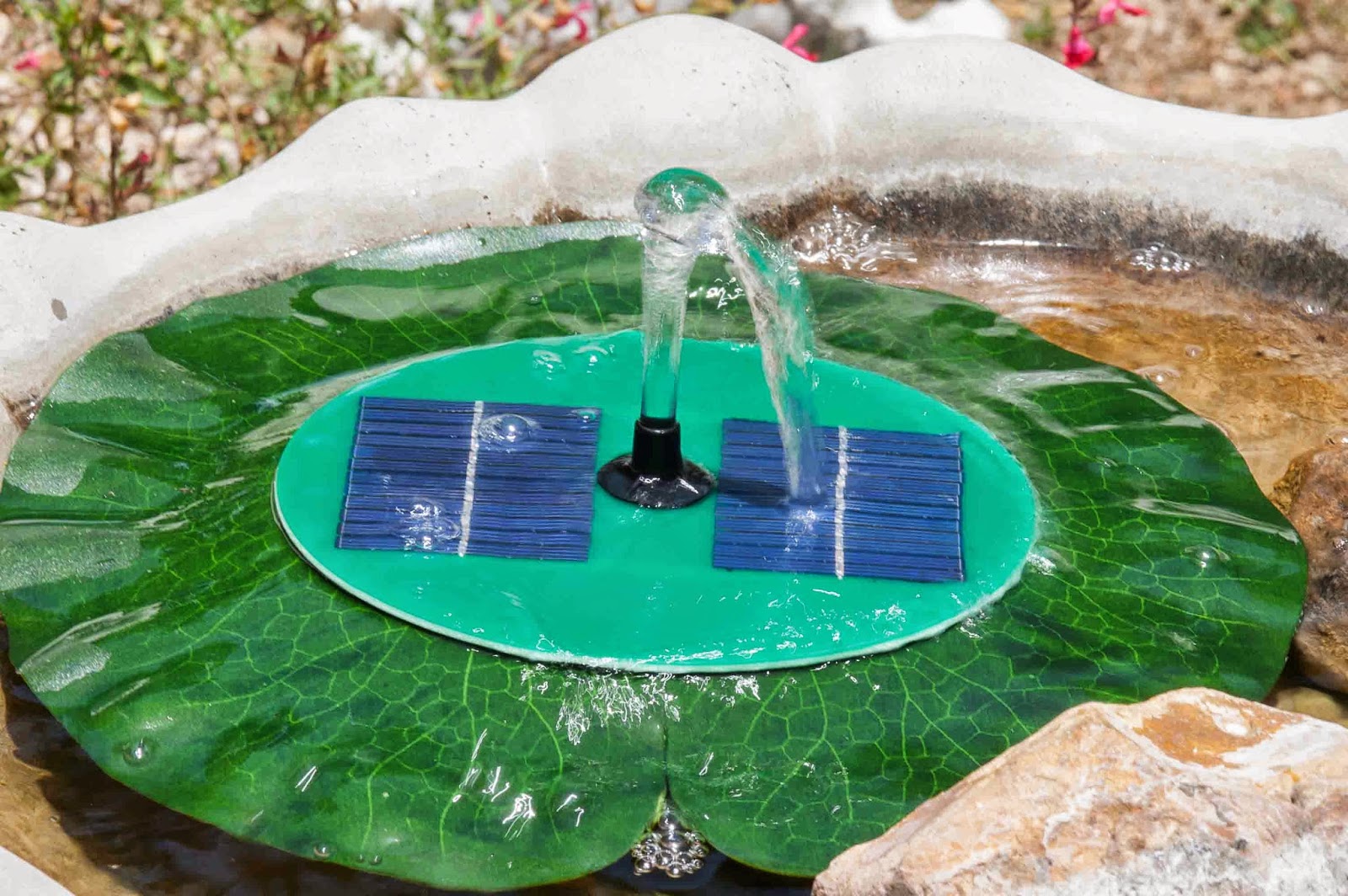 Window on a Texas Wildscape More on bird baths