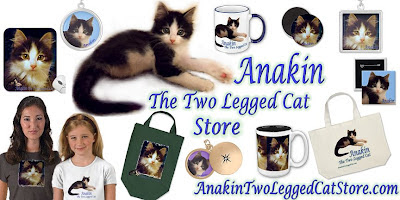 Anakin The Two Legged Cat Zazzle Store anakintwoleggedcatstore.com
