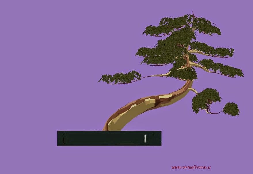 Modelo Bonsai virtual 3D hecho con virtualbonsai software