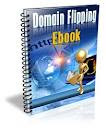 Domain Flipping Ebook