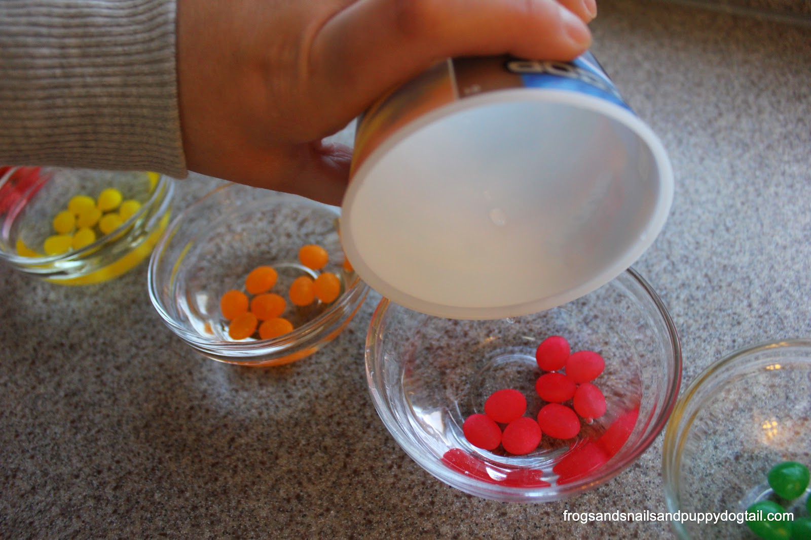 Jelly Bean Science Experiment FSPDT