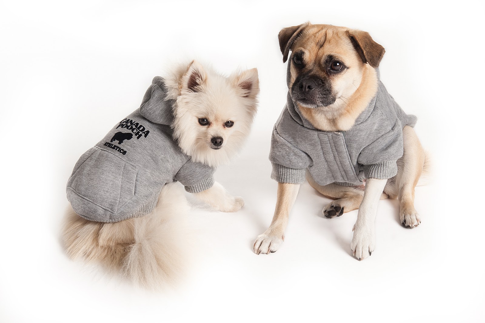 cool factor hoodie canada pooch