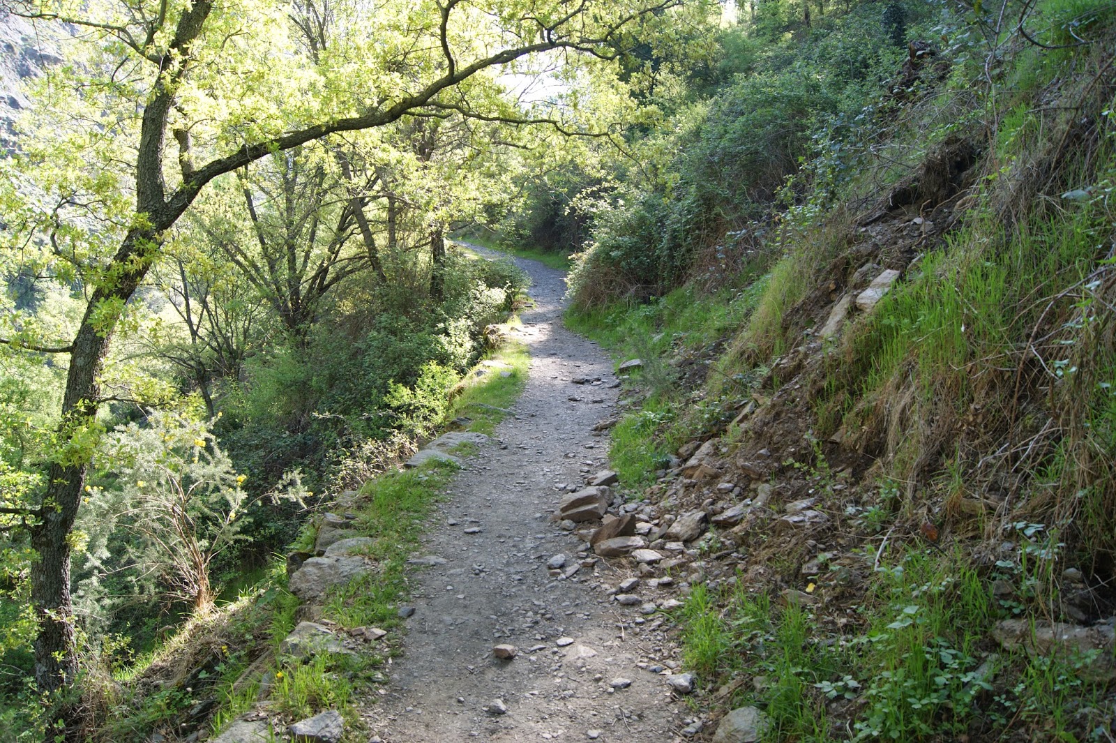 Pateando Sendas Ruta Vereda de la Estrella (Granada)