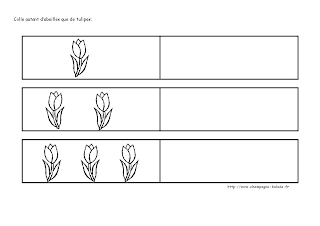 Tulipe et abeille: exercice mathématique autant que cycle 1