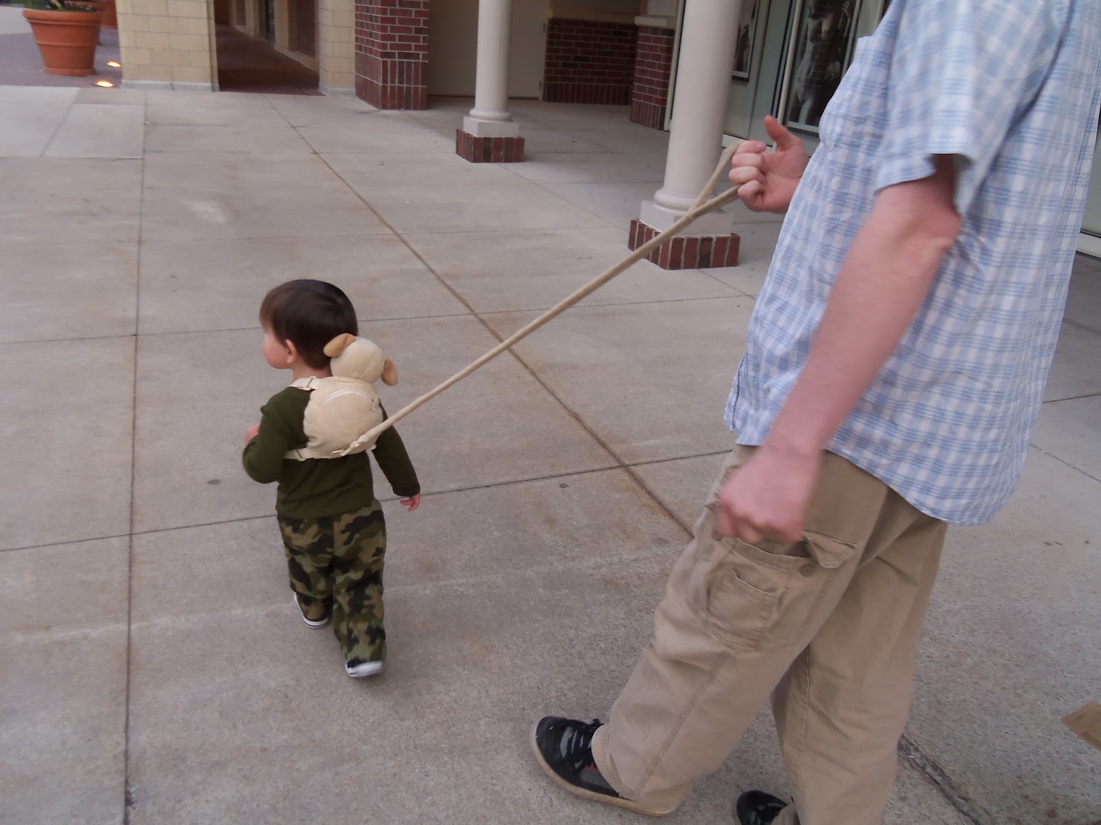 Kid Of God Safety Harness, or Toddler Leash?